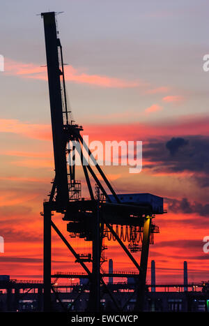 Container crane lifting portainer shipping container from cargo ship ...