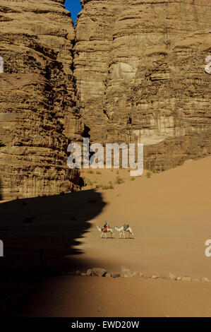Bedouin riding a camel. Wadi Rum. Jordan. Stock Photo