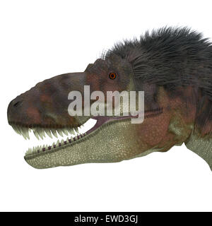 Daspletosaurus was a carnivorous theropod dinosaur that lived during the Cretaceous Period of North America. Stock Photo
