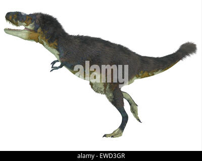 Daspletosaurus was a carnivorous theropod dinosaur that lived during the Cretaceous Period of North America. Stock Photo