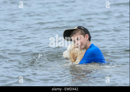 A boy plays with a Golden Retriever in the water at Indian Mound Park, Englewood, South West Florida, USA Stock Photo