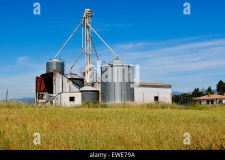 Small grain storage facility in agricultural field with facility to separate different grain silos, Spain. Near Escalona. Stock Photo