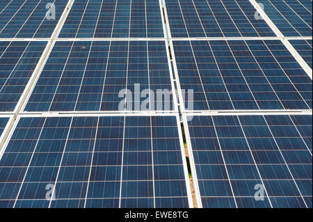 Solar farm in Cumbria. Panels cover over 80 acres of land to produce green energy on Pasture Farm near Aspatria. UK Stock Photo