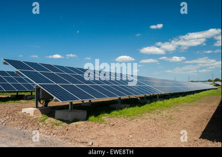 Solar farm in Cumbria. Panels cover over 80 acres of land to produce green energy on Pasture Farm near Aspatria. UK Stock Photo