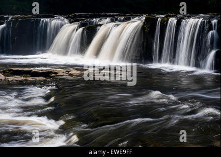 Aysgarth Falls in the Yorkshire Dales National Park on the River Ure in Wensleydale, UK. Stock Photo