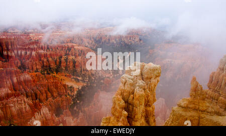 Foggy Morning at Bryce Canyon National Park, Utah Stock Photo