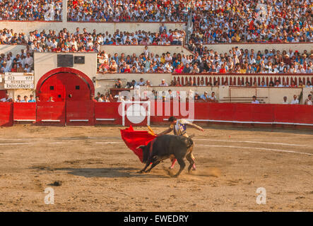 CARACAS, VENEZUELA - Matador waves red cape in front of charging bull during bullfight in arena. 1988 Stock Photo