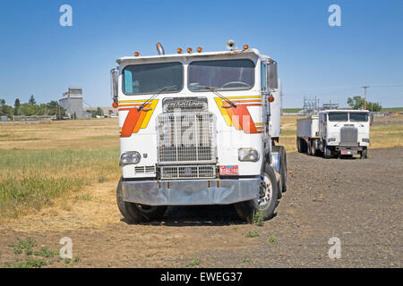 Two old wheat hauling dump trucks parked in a field in Condon, Oregon Stock Photo