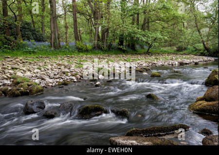 The River Dunsop in the Forest of Bowland Stock Photo