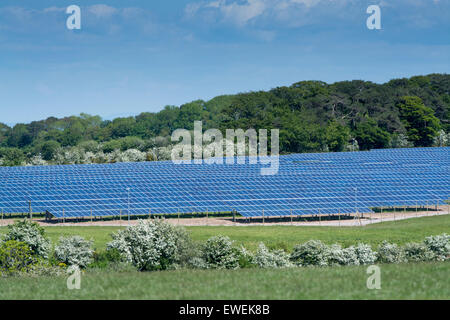 Solar farm in Cumbria. Panels cover over 80 acres of land to produce green energy on Pasture Farm near Aspatria. UK Stock Photo