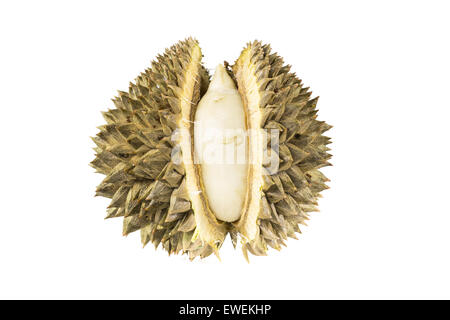 unripe durian on white background Stock Photo