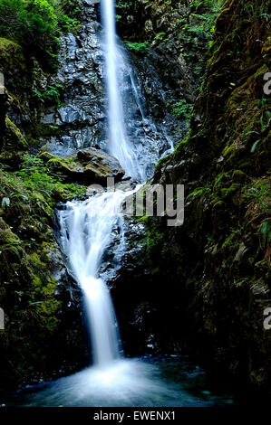 Lupine Falls in Strathcona Provincial Park, Vancouver Island, British Columbia, Canada. Stock Photo