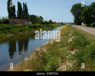 The East Deane Way along the River Tone, Curry Moor, Somerset, UK Stock Photo