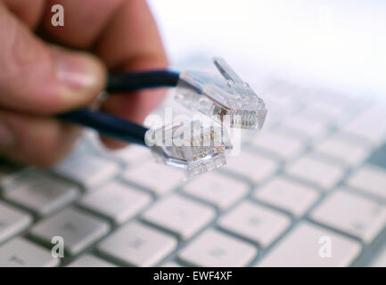 hands holding ethernet cables Stock Photo