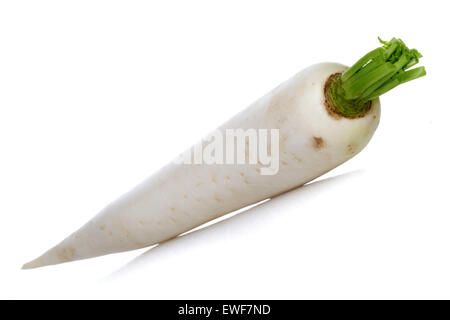 White rabbit on white background Stock Photo