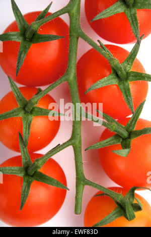 Tomato on white background - studio shot Stock Photo