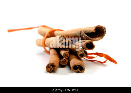 Tied Bunch of cinnamon Sticks Stock Photo