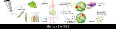 TARGETED THERAPY Stock Photo