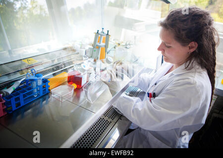 BIOPRINTING Stock Photo