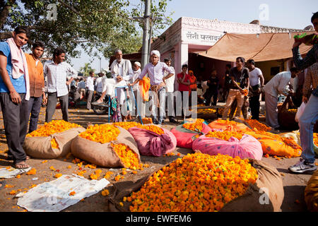 flower market in Jaipur, Rajasthan, India, Asia Stock Photo