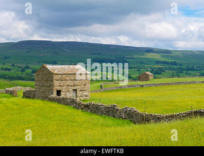 Field barns and wildflower meadows, Wensleydale, Yorkshire Dales National Park, North Yorkshire, England UK Stock Photo