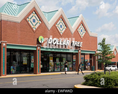 Entrance to large Dollar Tree store in Manassas, Virginia, USA Stock Photo