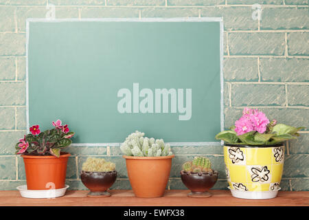 Violet flowers and cacti in flowerpots on wood stillage Stock Photo