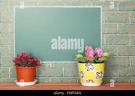 Violet flowers in flowerpots on wood stillage Stock Photo