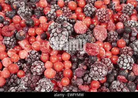 Background by frozen blackberries, raspberries and black and red currants Stock Photo
