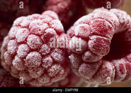 Extreme macro shot of frozen raspberries covered with ice crystals Stock Photo