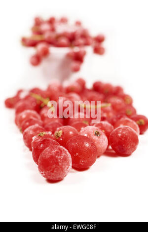 Macro shot of frozen currants with stems covered with ice crystals in front of a white porcelain bowl with red currants on white Stock Photo
