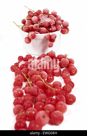 Macro shot of frozen currants with stems covered with ice crystals in front of a white porcelain bowl with red currants on white Stock Photo