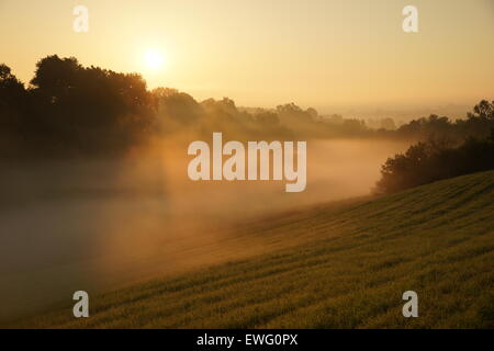 Misty field with a barely visible barn Stock Photo