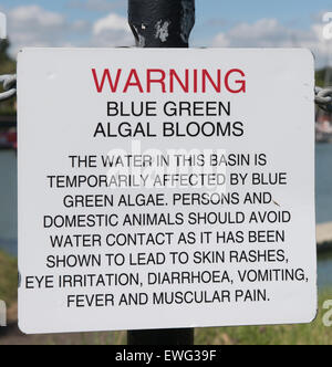Warning blue green algae sign Stock Photo