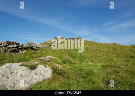 Cornish moorland with a derelict dry stone wall. Grass and flowers amongst the granite rocks. Stock Photo