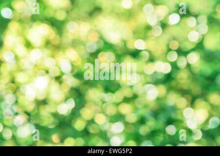 Shining defocused highlights in foliage create a vibrant bokeh composition, ideal as a nature background Stock Photo