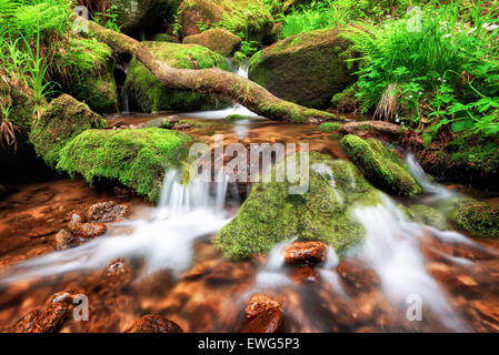 Stream gently cascading down a mountain forest, with small waterfalls in the foreground and fresh green fern in the background Stock Photo