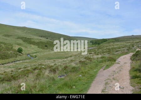 The track to Wistman's Wood, seen on right hand side of the West Dart River, Dartmoor National PArk, Devon, England Stock Photo