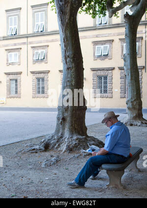 man reading paper on bench, old town Lucca, Italy Stock Photo