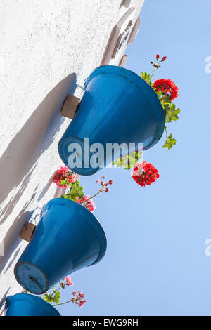 Floral ornament on wall with blue pots and red geraniums, Stock Photo