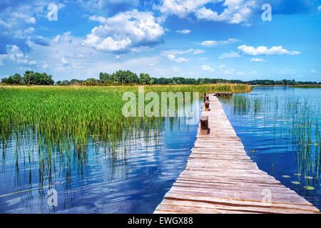 Beautiful nature landscape, beauty of countryside places, old wooden bridge across pond, perfect place for summer vacation Stock Photo