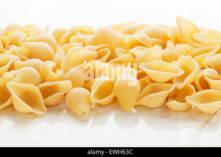 Conchigliette pasta shells Stock Photo