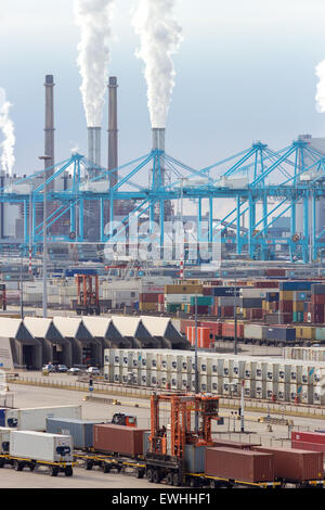 Container terminal and cranes in Rotterdam, Netherlands. Stock Photo
