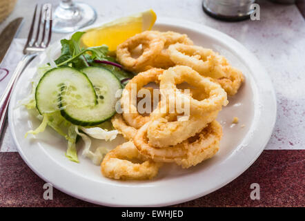 A plate of fried calamari (squid rings) with salad garnish served as a meal at a seafood restaurant in Brighton, East Sussex, UK Stock Photo