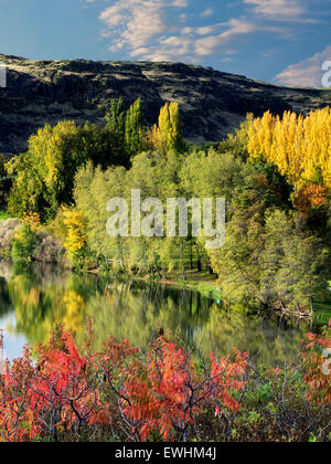 Fall color at Horesthief Lake State Park, Washington. Columbia River Gorge National Scenic Area Stock Photo