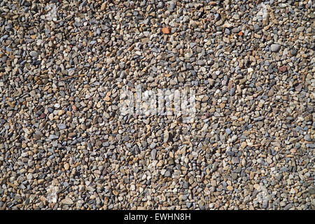 Background of very many small pebbles Stock Photo