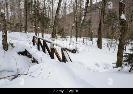 Foot bridge along the Appalachian Trail (Beaver Brook Trail) in Kinsman Notch of the White Mountains, New Hampshire USA during t Stock Photo