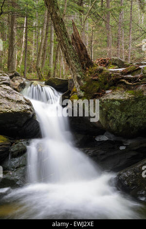 Black Brook Falls along Black Brook in Easton, New Hampshire USA during ...