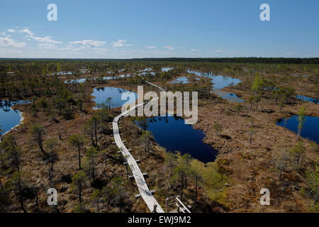 A boardwalk placed over raised bog located in Kemeri National Park, formed approximately 10,000 years ago in the postglacial period and is now a popular tourist attraction west of the city of Jurmala, Republic of Latvia Stock Photo