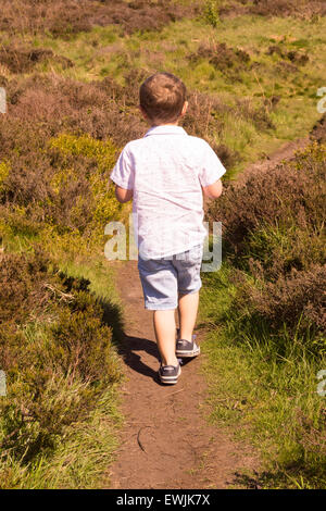 Little boy on the moor Stock Photo